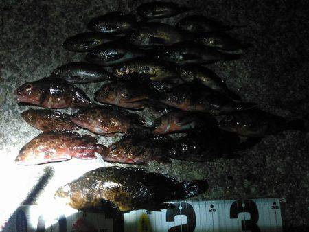 スターげっとんからの巻